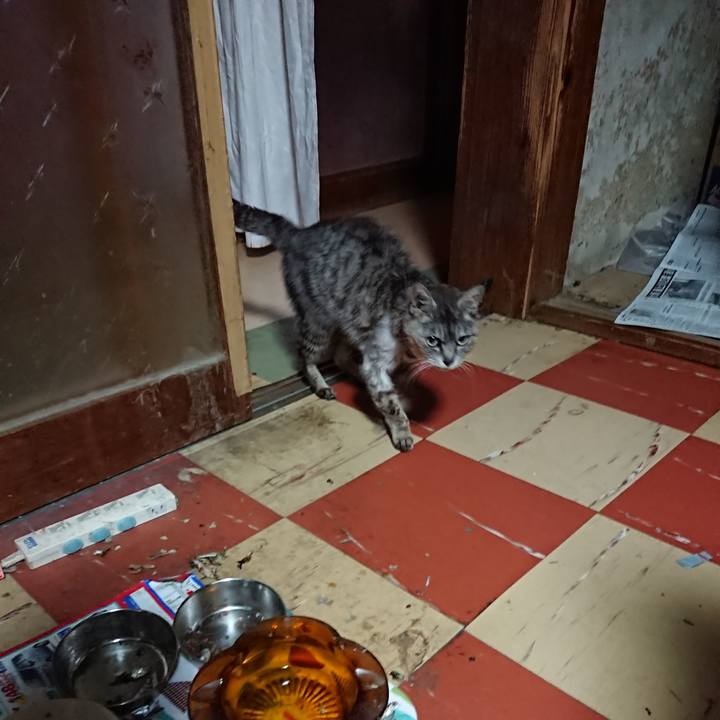 26c13565 064b 4ed1 be5f 299d22a2fdfc 1596139021069