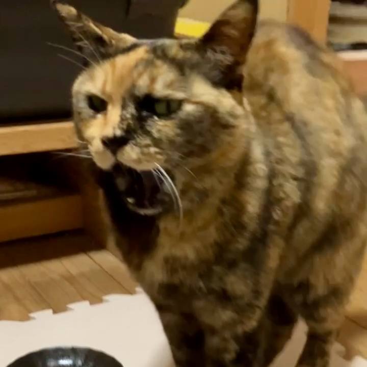 26c1385c d749 4866 b470 481ed1aa10b5 1741868976267