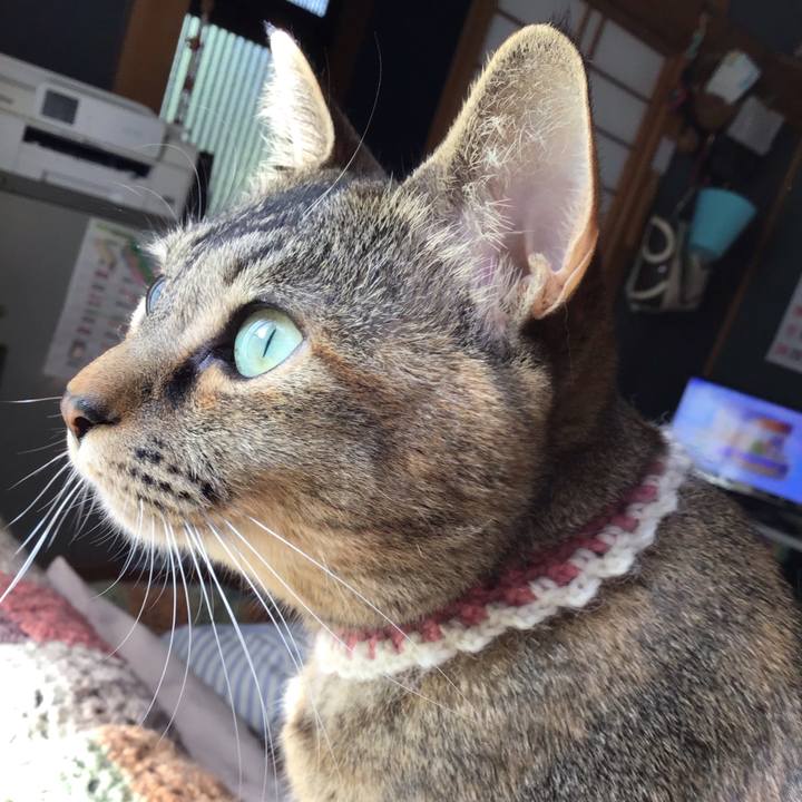 26c16849 18a9 40f9 ae47 b7f74c88f164 1650666048324