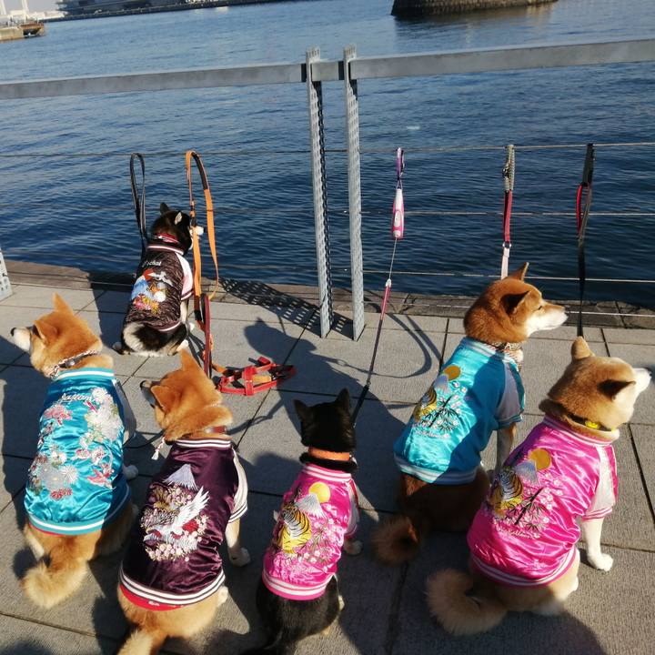 26c16b4c 794f 4e25 a9b6 3b38ebbb4cd1 1639362692490