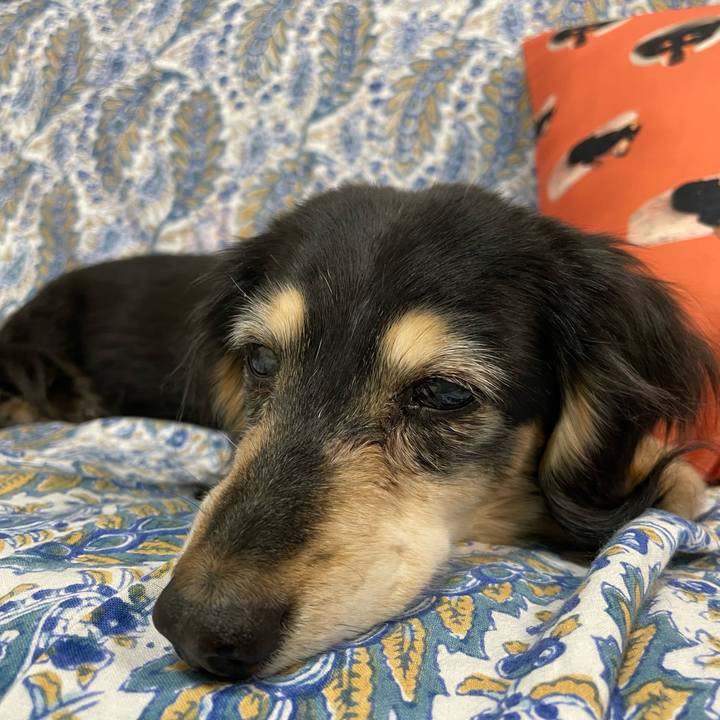 26c17a37 ecb4 4afb bf31 7a0fe3c0255e 1713995326003