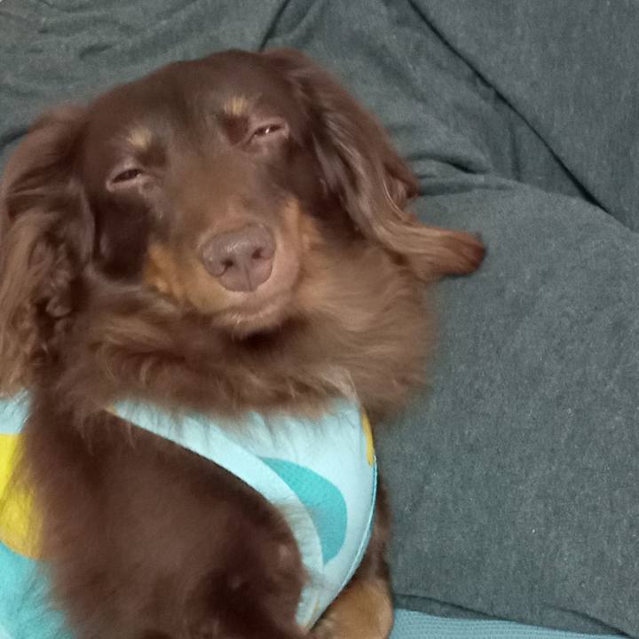 26c1921a f90f 49e5 9773 83bfa3e03724 1758491260035