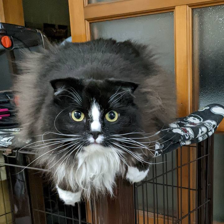 26c1adad 97b3 4685 b5ff f180581c435f 1669635991180