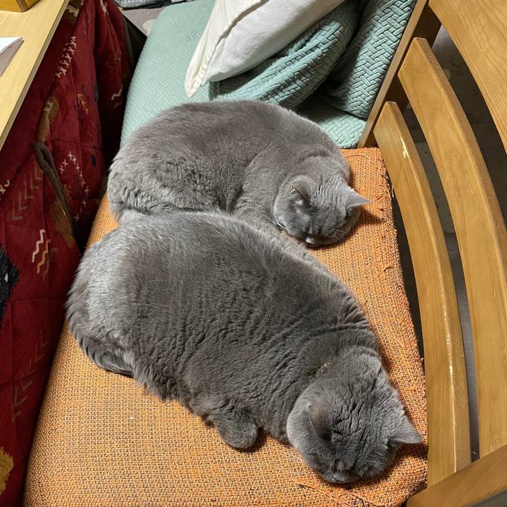 26c2306e 2d58 40f9 85f1 f3b4d3479acd 1773476115075