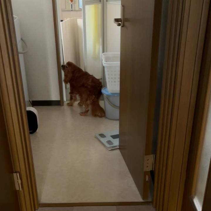 26c237b6 9da1 4f2c 9ec7 0639251b2832 1704500106244