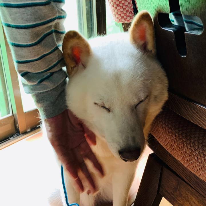 26c2430a dd08 4307 bb31 fe05fa210dcb 1600379137114