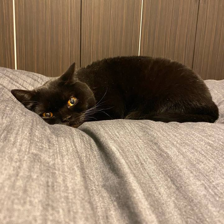 26c28ba7 f9fc 4137 a254 0cd82dc2767f 1709124447296