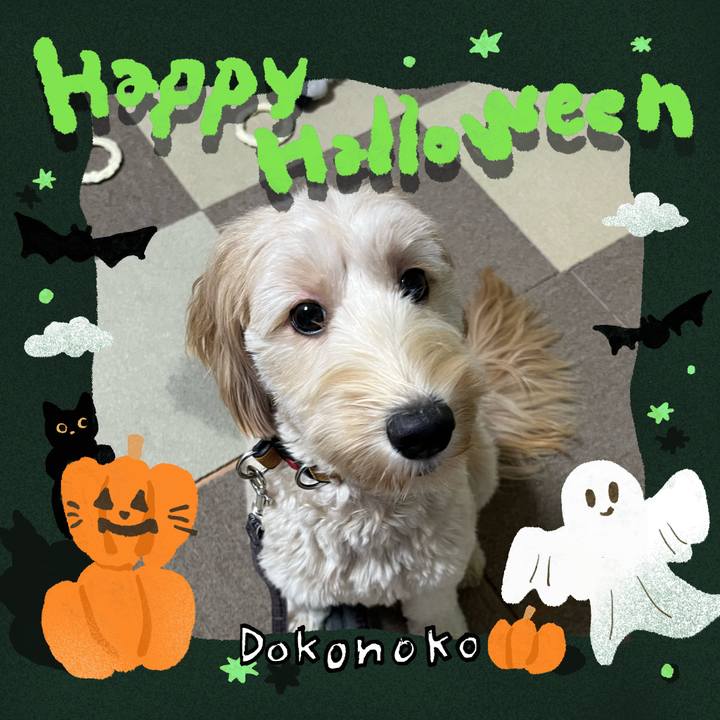 26c29009 1ee0 4ab7 b922 05219fb67b05 1729512362304