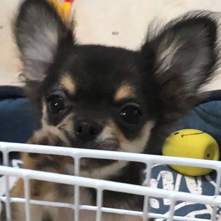 26c2ab02 8d0c 455c 87e6 0d86e8549097 1537532058654