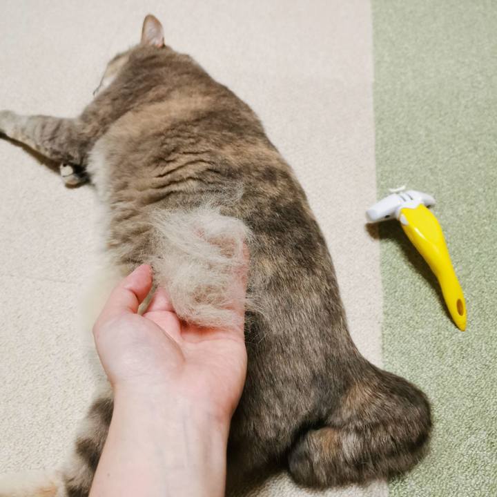 26c2ec05 8e30 4795 a66b 2f07ecd584cc 1638889496012