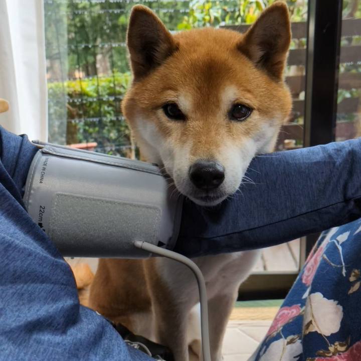 26c315c9 72ec 4e2f ae6e 6a3cb6f35192 1708605505066