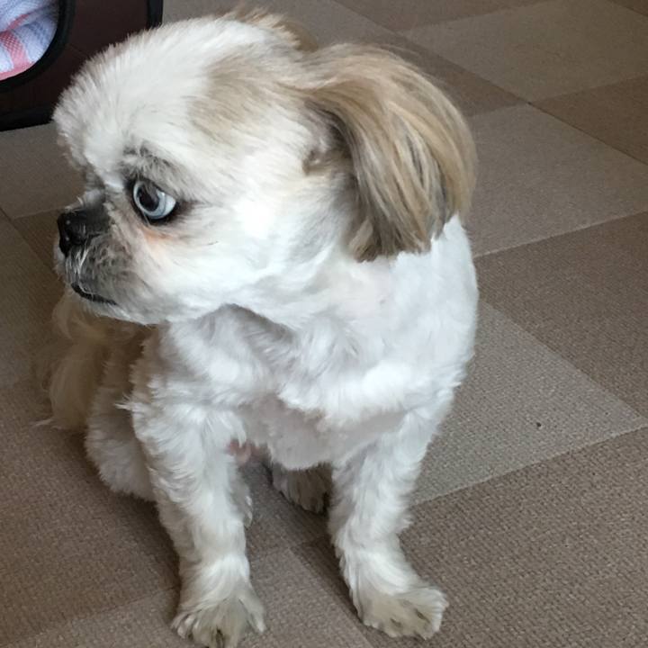 26c32662 a31d 4f44 9d76 3e44e1192acc 1559373463222