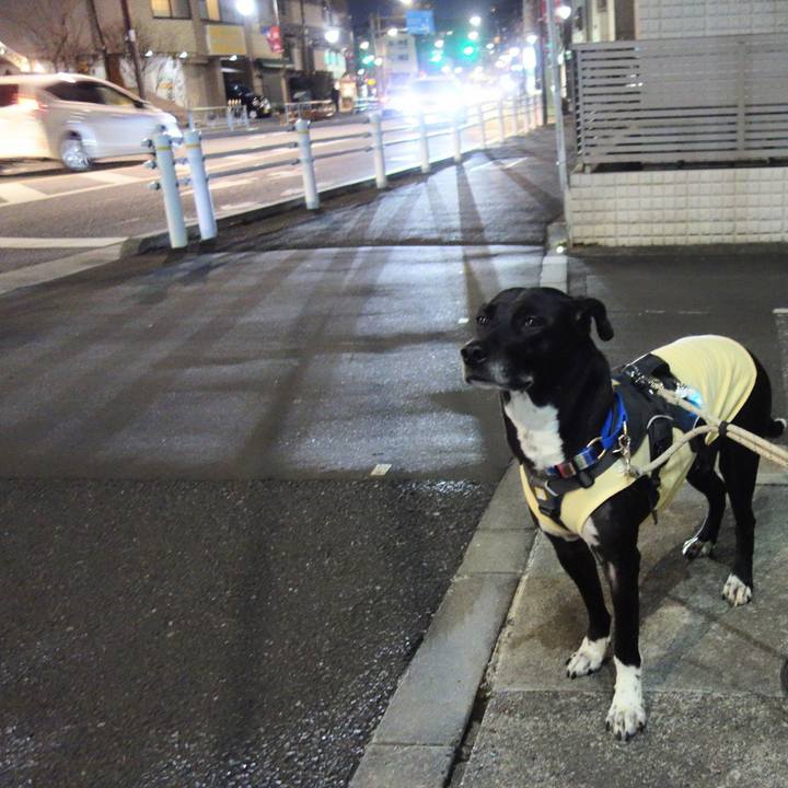 26c34576 2fd9 42ff 8946 75824b06954f 1645094889948