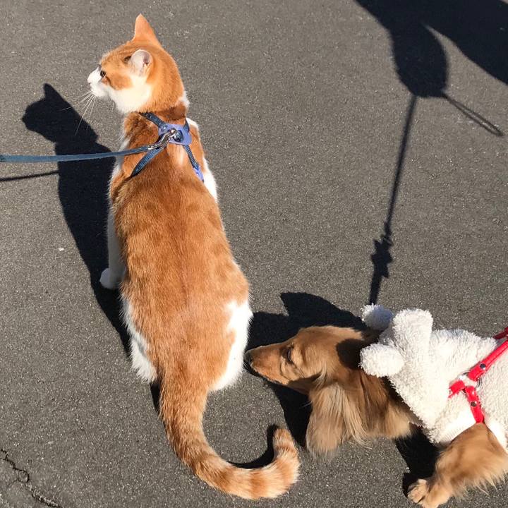 26c35c46 c779 4db8 9129 77692b57b5b3 1515039827297