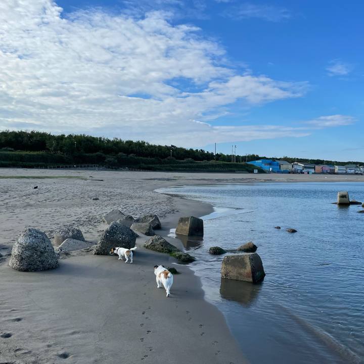 26c35d88 92d2 4f65 ab6c f37acea374e5 1632872075078