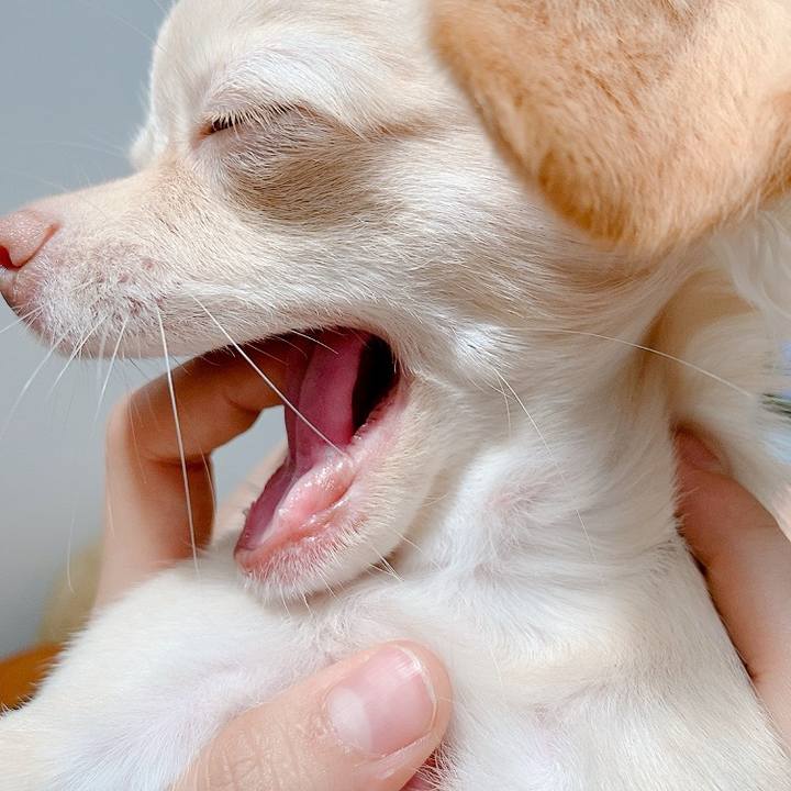 26c37a8e 4b64 4891 9c25 108f9aad35bf 1596420653801