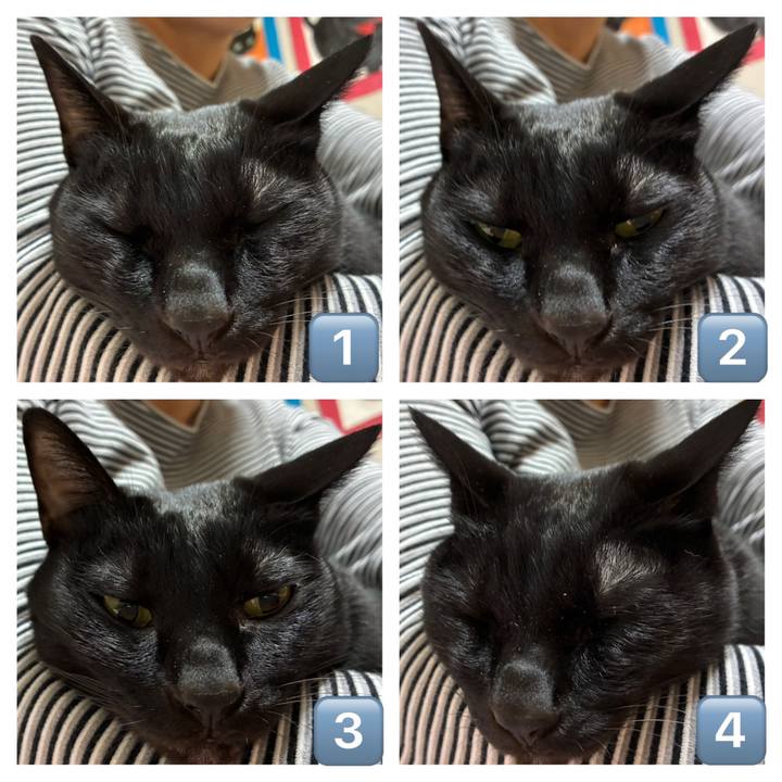 26c3a3a0 3d54 42e8 8b5d 6eb199873e2b 1768899458431