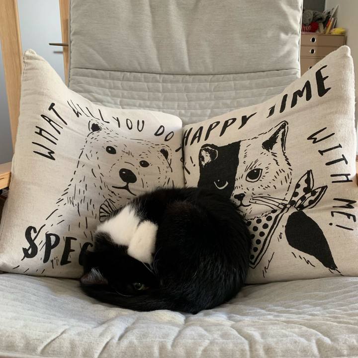 26c3a7a6 fbe2 409b bb32 f3f498871022 1546353141077