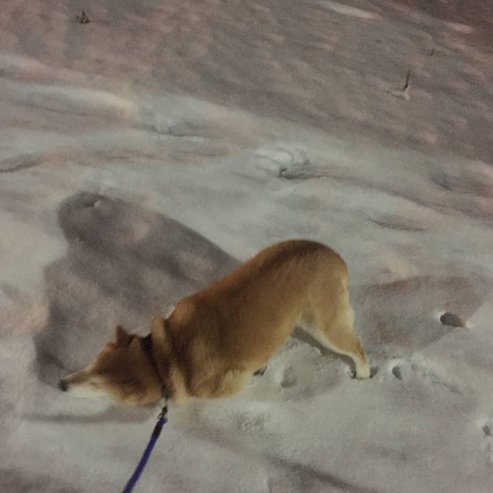 26c3c806 b9df 4a93 b25f 1a6df3547644 1512999877127