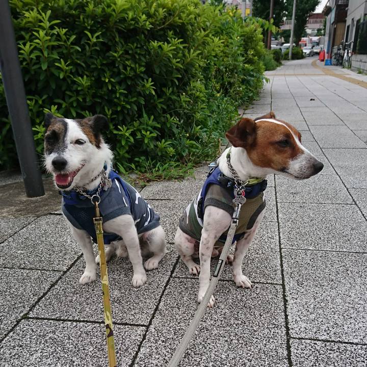 26c40964 4874 42a7 b2ae 7315adf6b56c 1595366444314