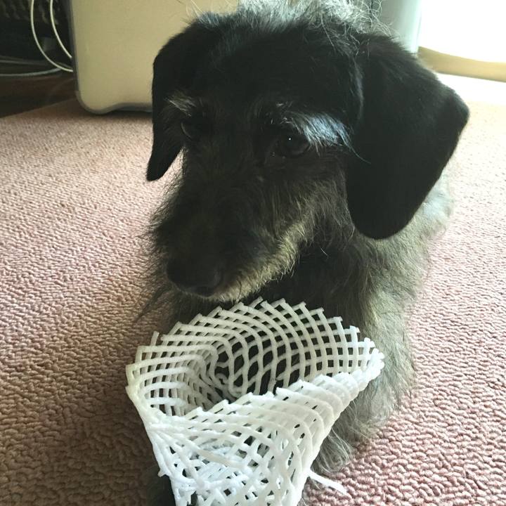 26c40b18 cdc0 4402 9bfb dca5da742cb5 1533076565763