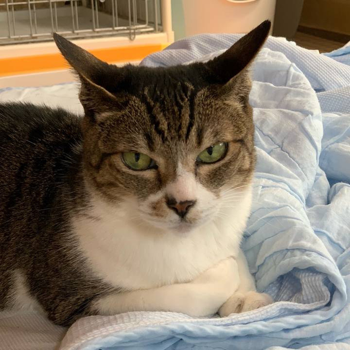 26c443d1 721e 4156 9d26 c84846001a81 1590455762494