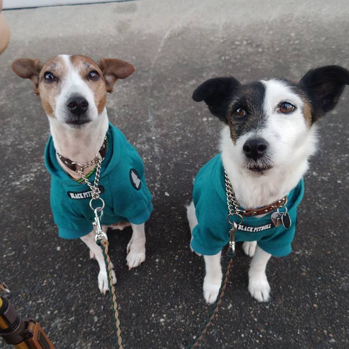 26c44c82 c0c7 4018 b903 cc151f0e2212 1765317587832