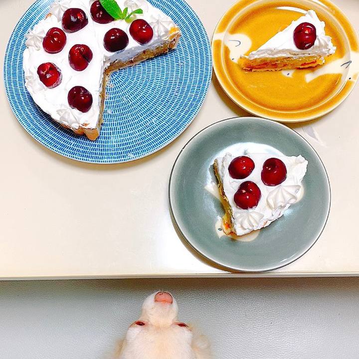 26c45044 4630 4d7a 87e5 5b13f639e676 1622122457389