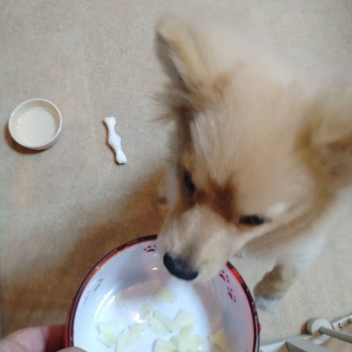 26c45049 77c7 453f 8cf3 8fb08054acce 1731027539043