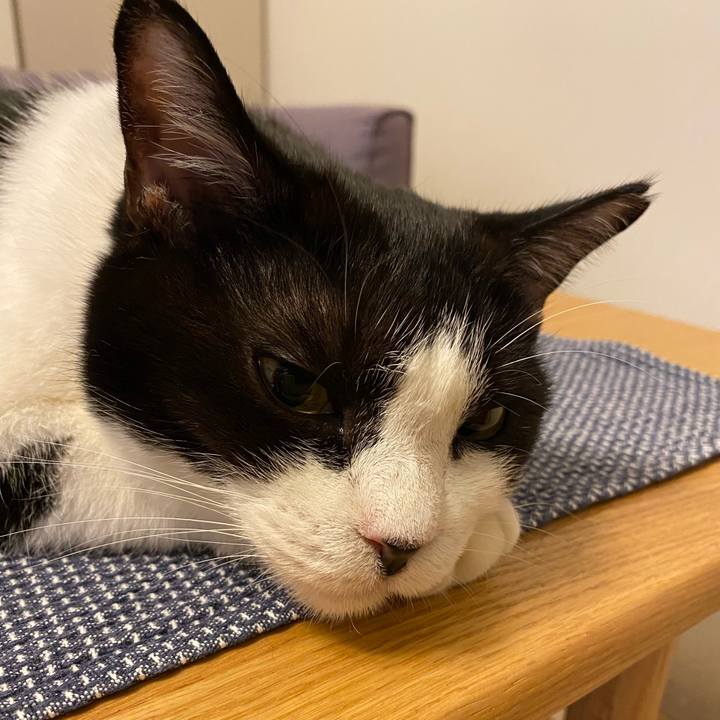 26c4599e d019 4ade a288 e4335a0cbbd8 1728212505616