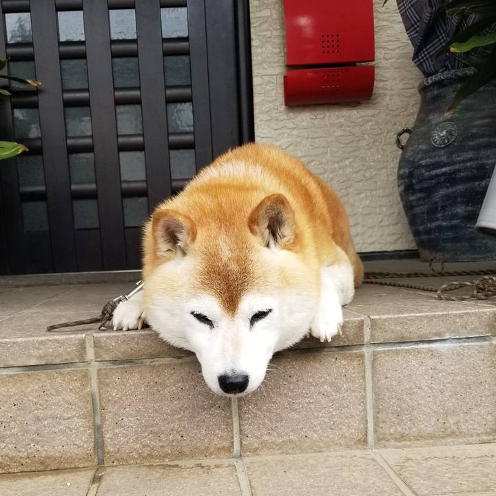 26c466c2 9648 4fd3 8b9c 3d4d834a48c7 1717285241297