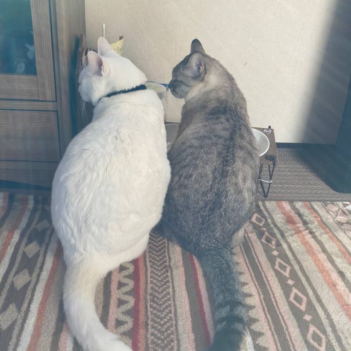 26c490ac 14c2 4fad b377 bab86bd5bb23 1645945885001