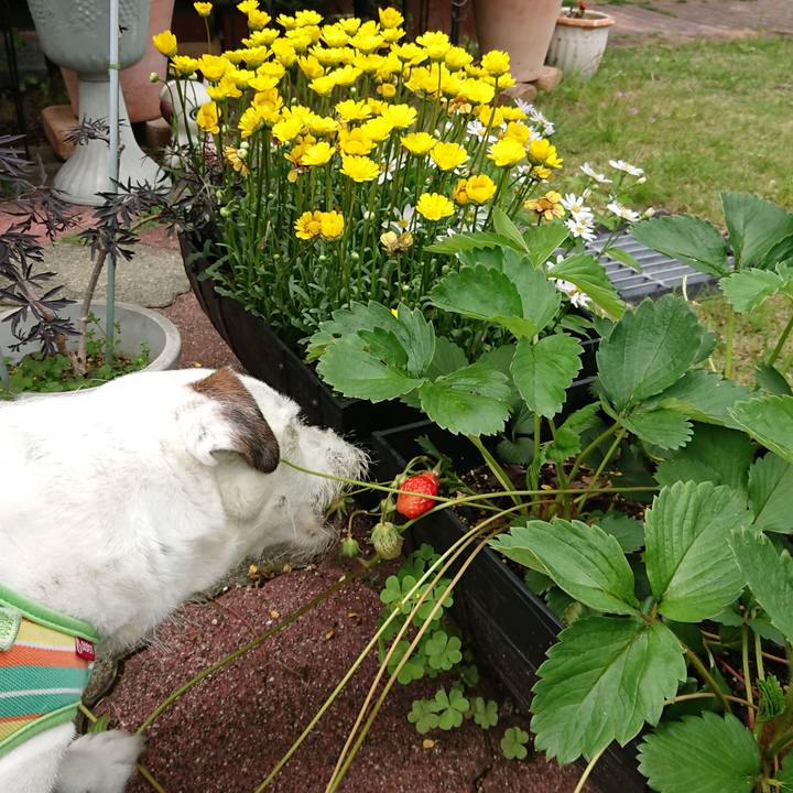 26c4db04 3029 4e1a 928d c31981c3862b 1557360532501