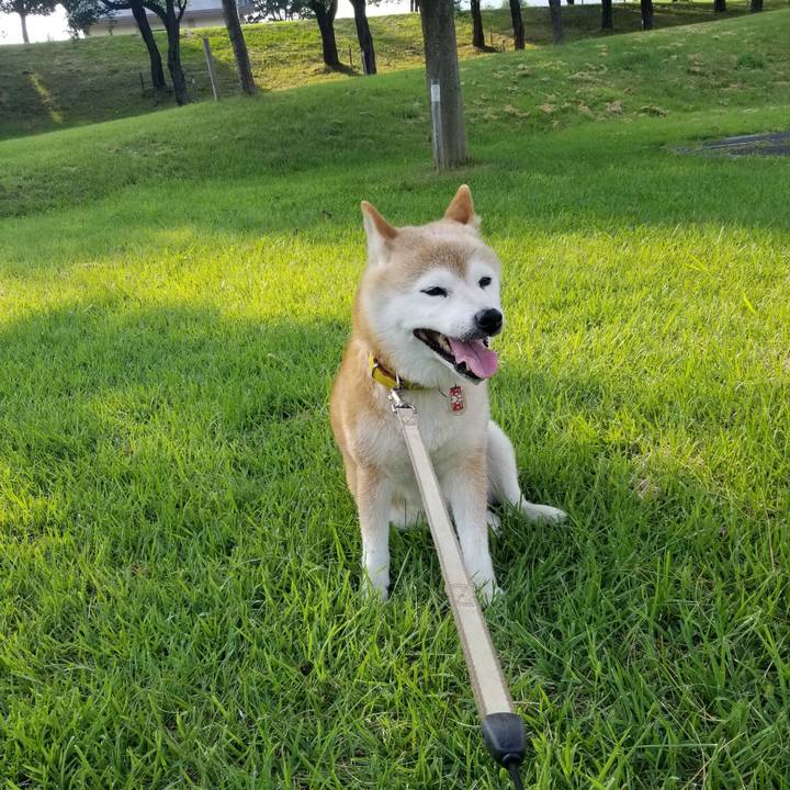 26c4eda8 528d 4f1a b750 373e6aa491cc 1690098979476