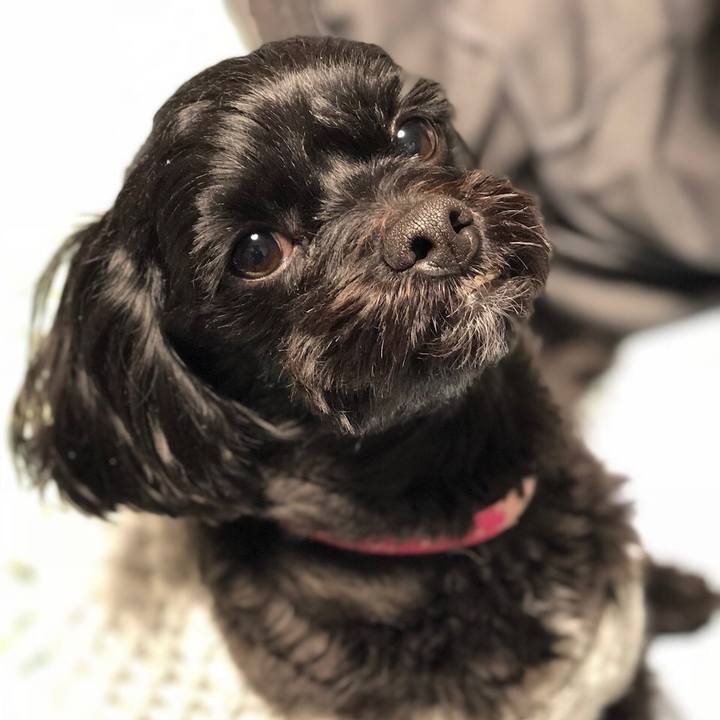 26c50a63 eab5 4532 93af 8eb88bb57c66 1519221550051