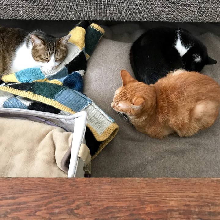 26c51065 8416 4d44 bee5 740c86c04d6b 1550282890860