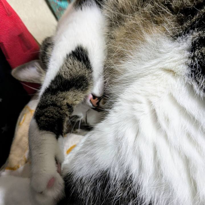 26c52935 09b0 437c 9e34 d7721da3537e 1728339769924