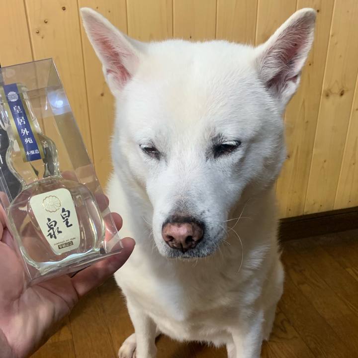 26c5337e 1357 4e94 b955 68dd9fe482b8 1555237807821