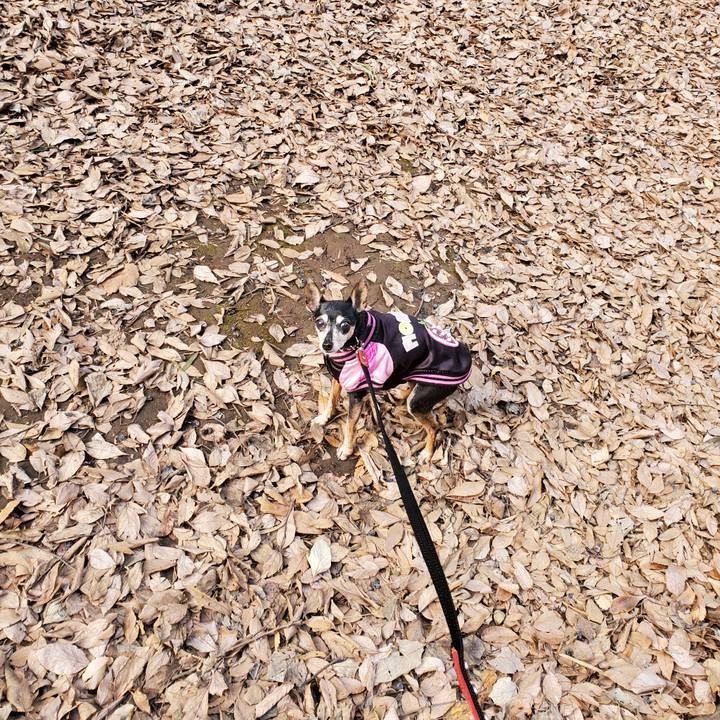 26c5417e 1514 4d01 94fe 141c68082ff3 1673172600875