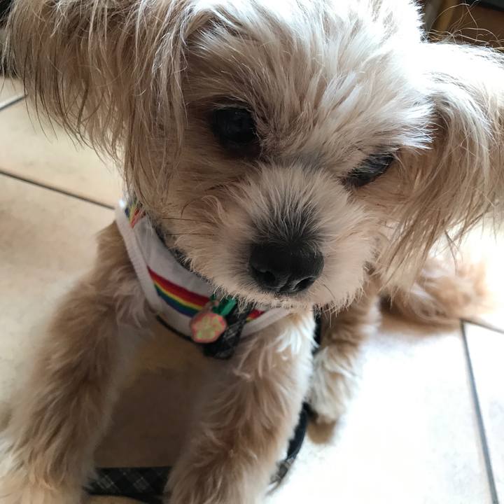 26c58d03 d9d8 418f 8202 b00e730fa0f5 1526705244675