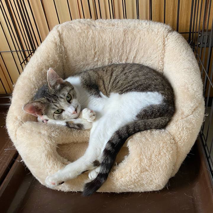 26c59934 ec02 446c bc1f 757d9c5432b1 1718619342411