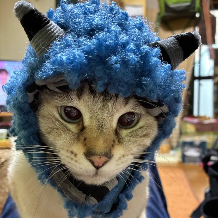 26c5a96c bb85 4371 b815 685cf4918206 1761865183519