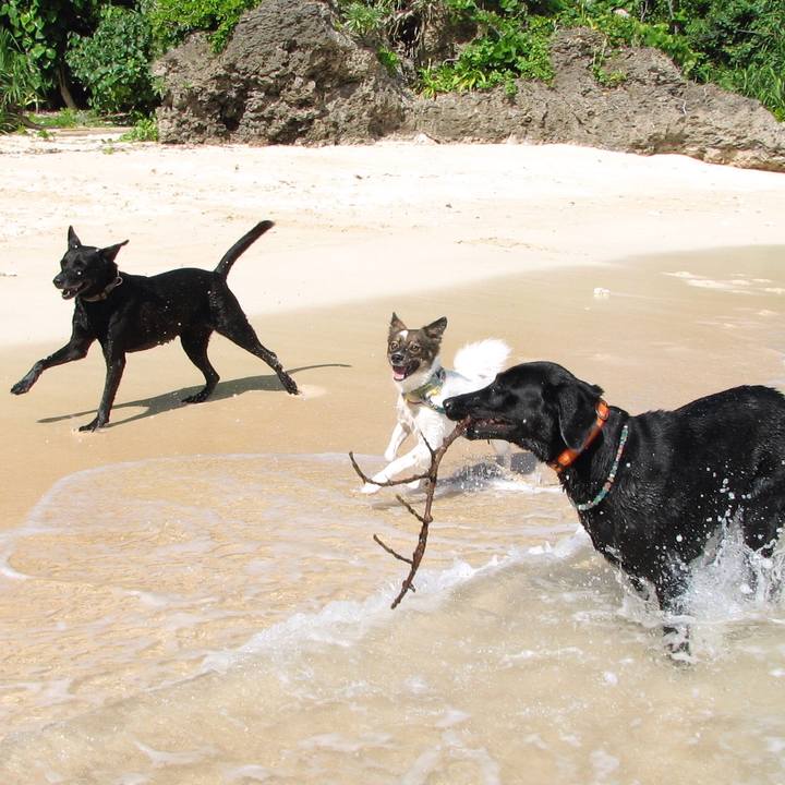 26c5ba9e 7974 4333 8976 b13e4607a45f 1518702604281