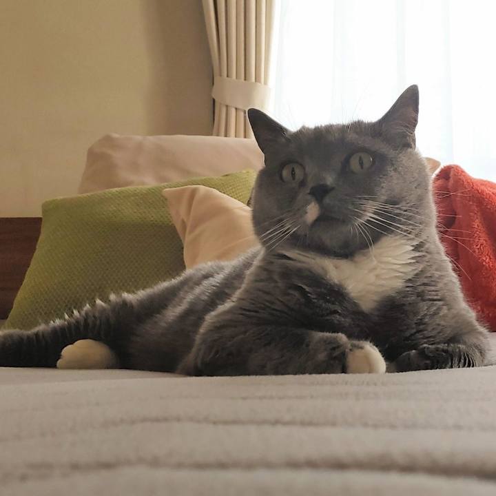 26c5d232 032a 4e6c 969b e8030943a989 1685255169944