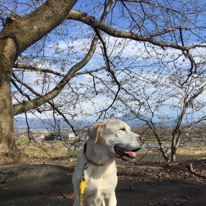 26c5f595 5b66 4e6b be66 e88ac801657e 1523172387494