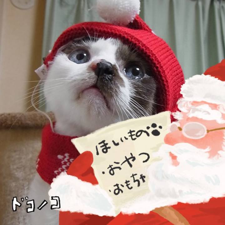 26c60e6f 5653 4c31 8d3d 802545fedd54 1729216242440