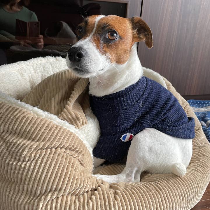 26c63934 3f81 4d5c a24c 1964e206dad4 1648766616198