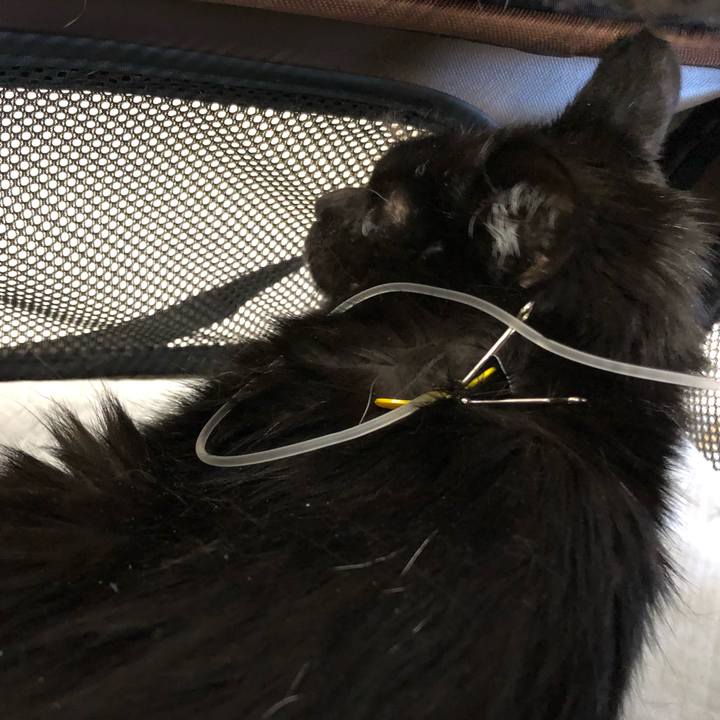 26c682c6 5cc2 43d2 b013 b02239300447 1618823130428