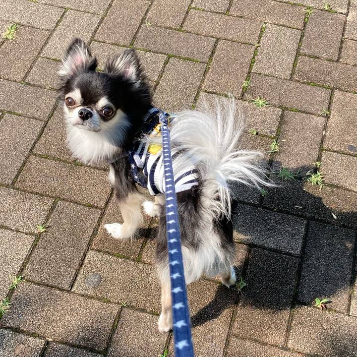 26c6986a 344e 4455 92ae 6dae092b9f21 1655610141001