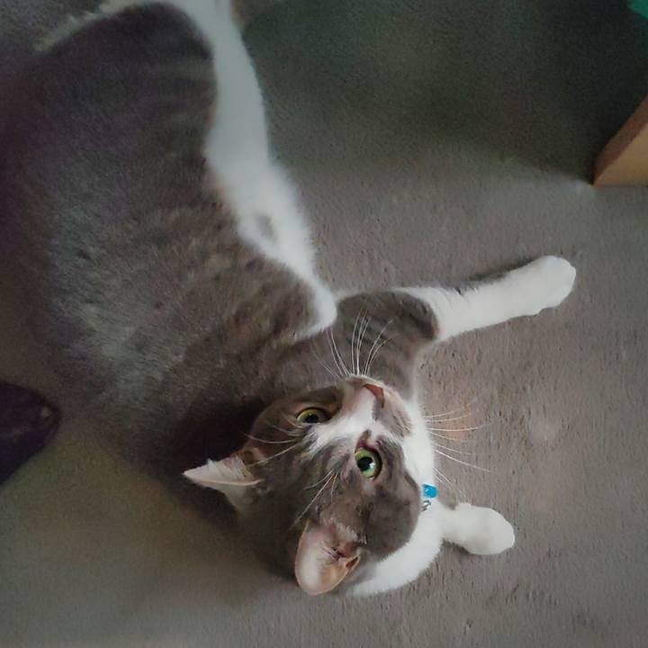 26c69ce5 16a9 4688 b6f9 836e237800b1 1685400701302